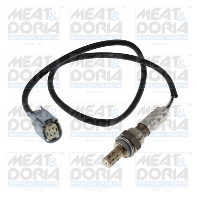 Oxygen Sensor